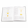 The Mishkan Illuminated