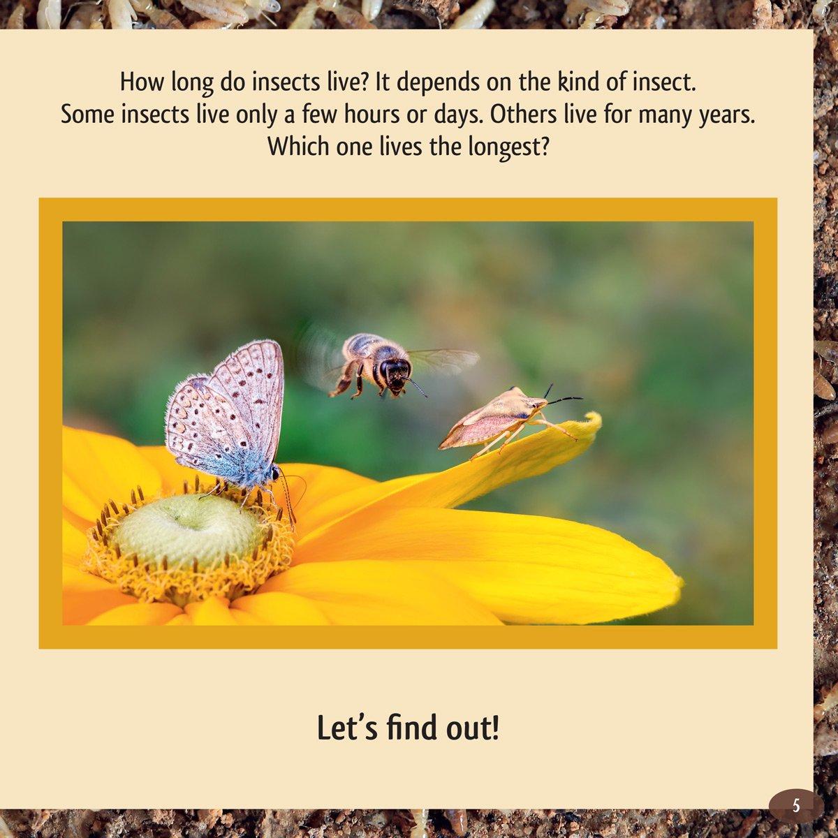 And the Winner Is...Who Is the Longest Living Insect on Earth