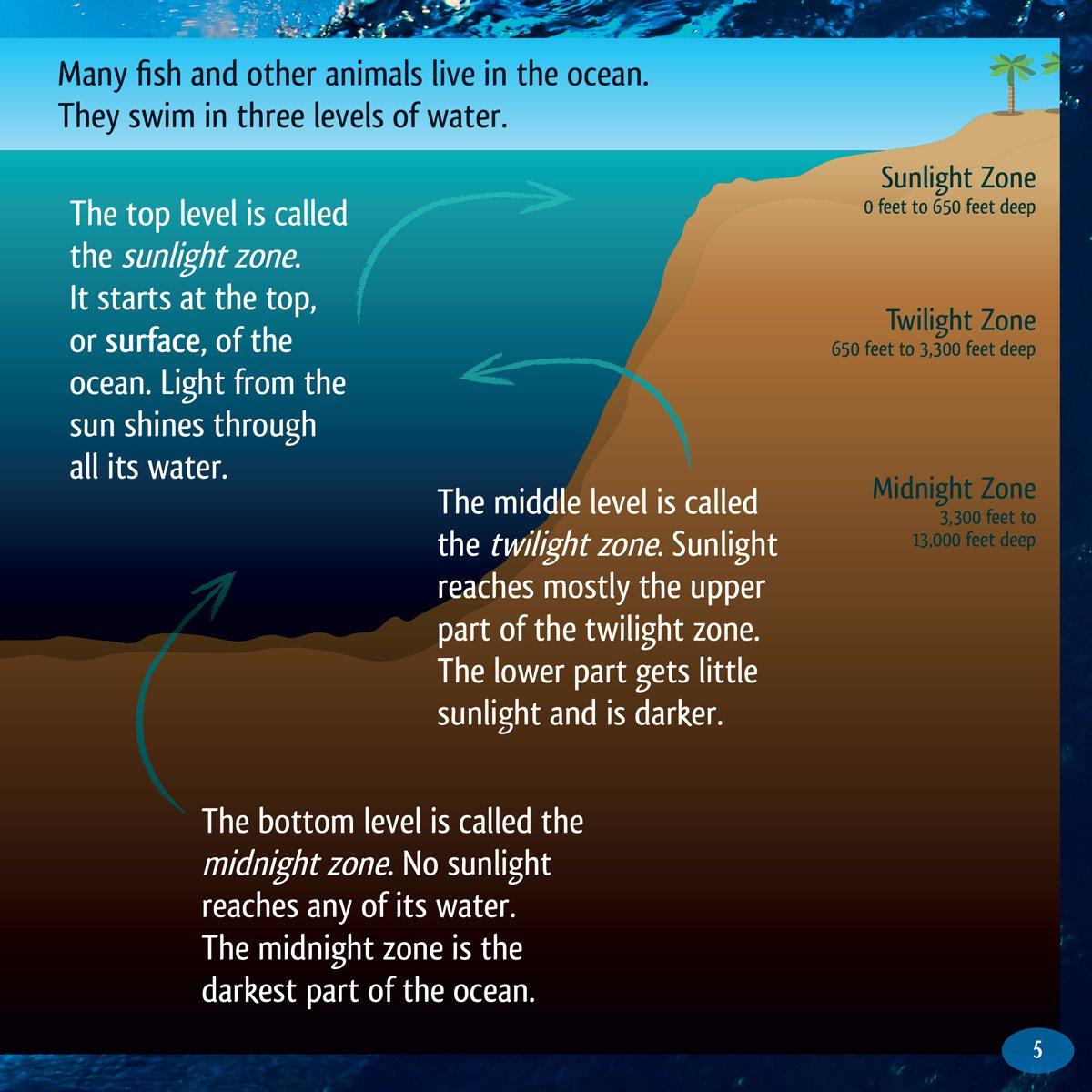 And the Winner Is...Who Hunts Deepest in the Ocean