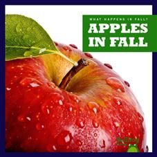 Apples In Fall