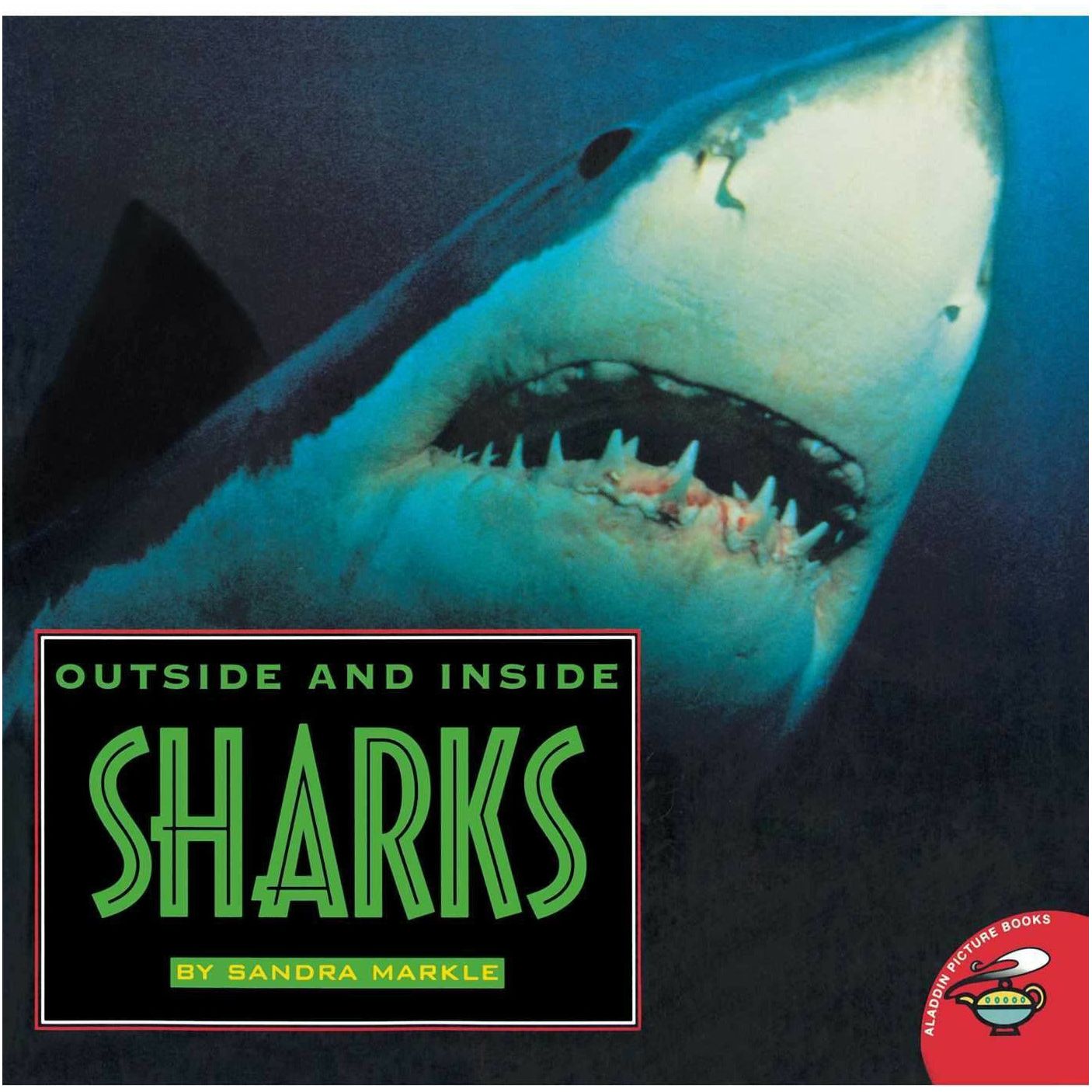 Outside and Inside Sharks