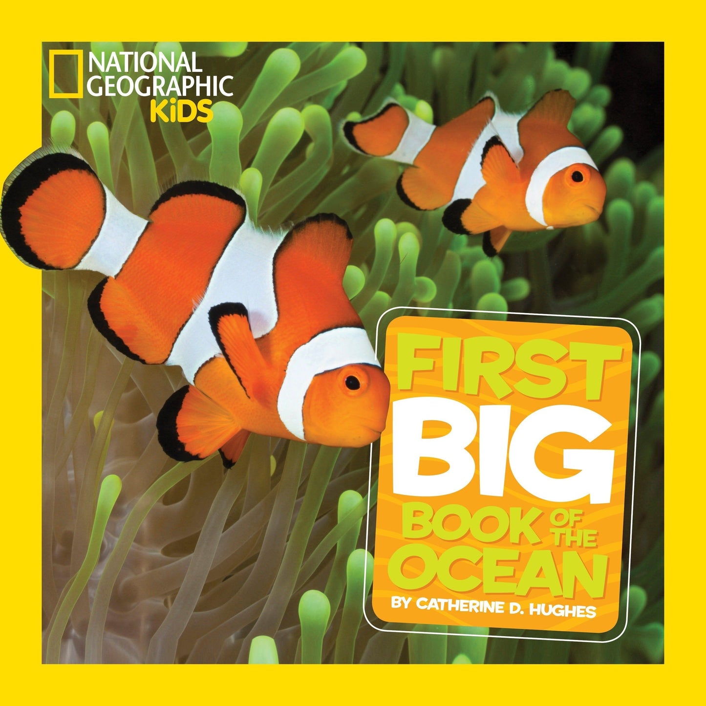 Nat Geo: First Big Book of the Ocean - Hardcover