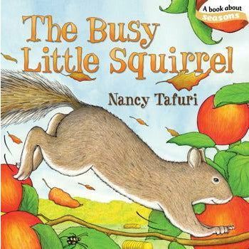 The Busy Little Squirrel