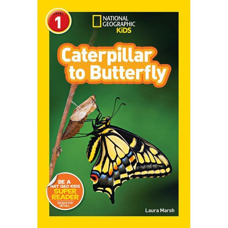 Nat Geo: Caterpillar to Butterfly