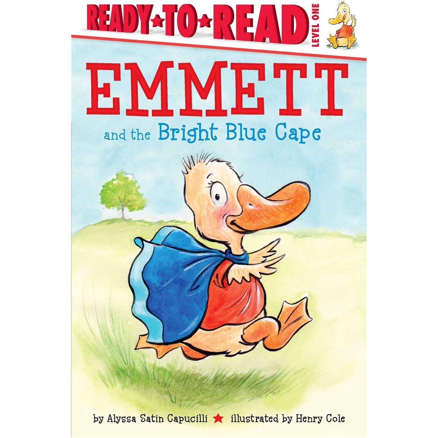 Emmett and the Bright Blue Cape