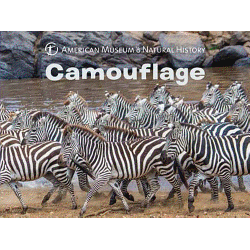 Camouflage