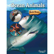 Ocean Animals