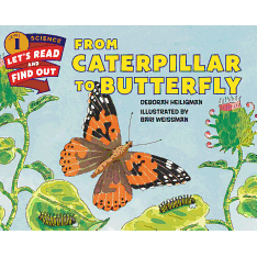 From Caterpillar to Butterfly ( Let's-Read-And-Find-Out Science 1 )
