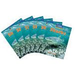 Windows on Literacy Fluent Plus (Science: Life Science): Sharks, 6-pack