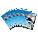 Windows on Literacy Fluent Plus (Science: Physical Science): Skateboards, 6-pack
