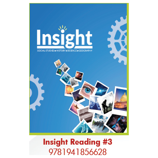 Insights 3