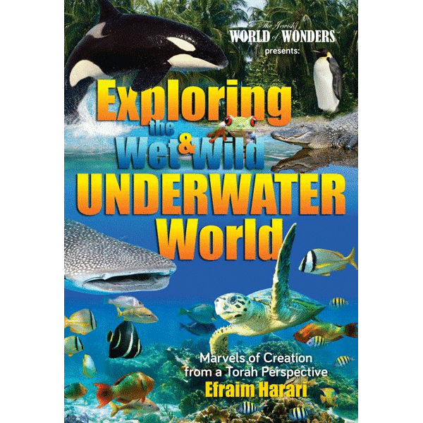 Exploring the Wet and Wild Underwater World