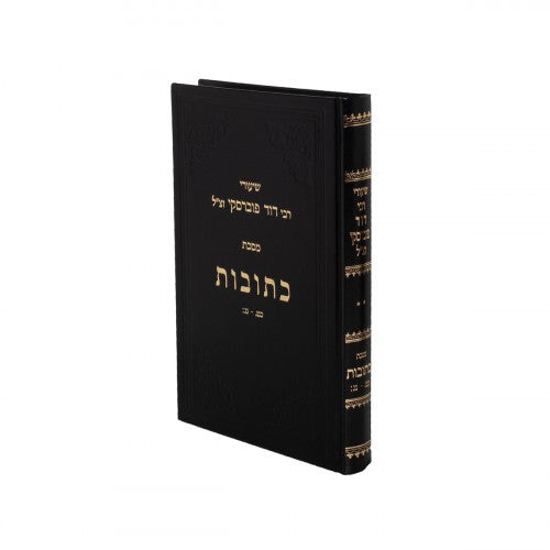 Shiurei R' David Povarski - Kesubos Volume 2