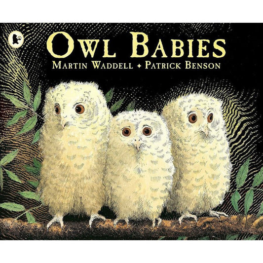 Owl Babies (Big Book)