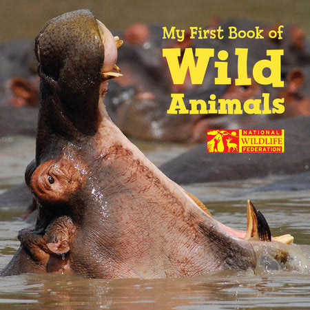 My First Book of Wild Animals - Board Book