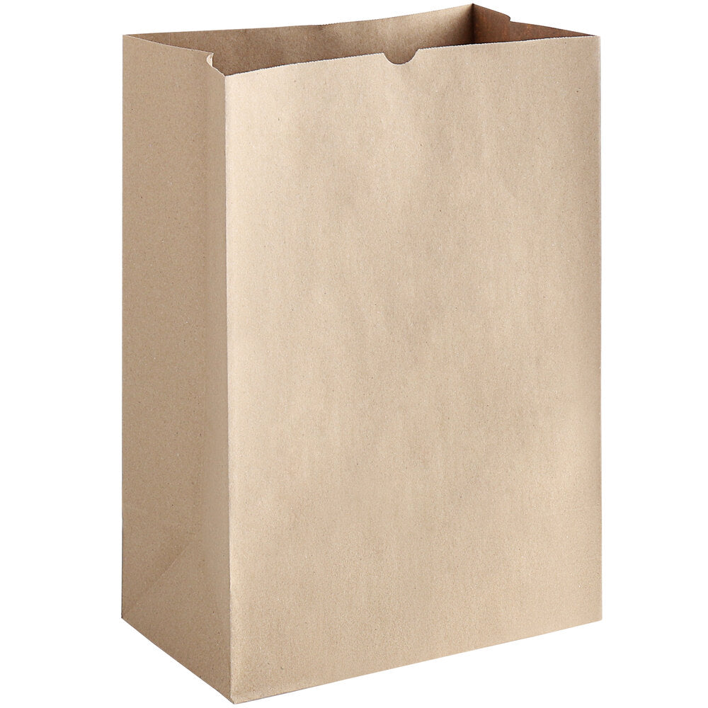 BAGS: Grocery, Paper, Large