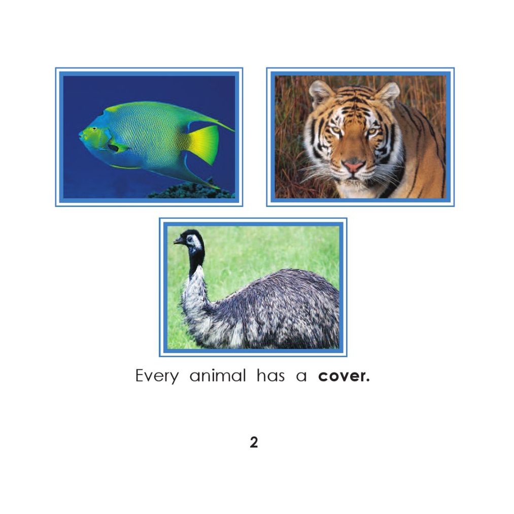 Animal Covers