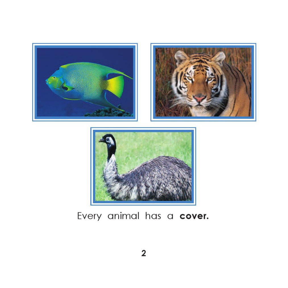 Animal Habitats