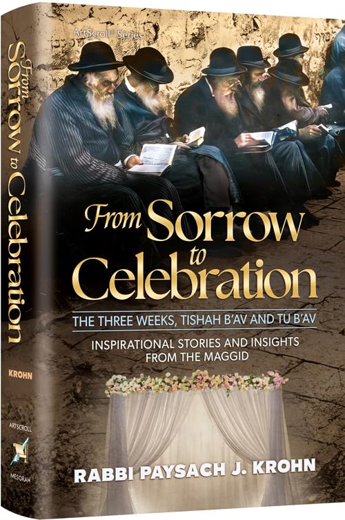 From Sorrow To Celebration Inspirarional Stories and Insights from the Maggid