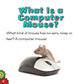 Computer Mouse