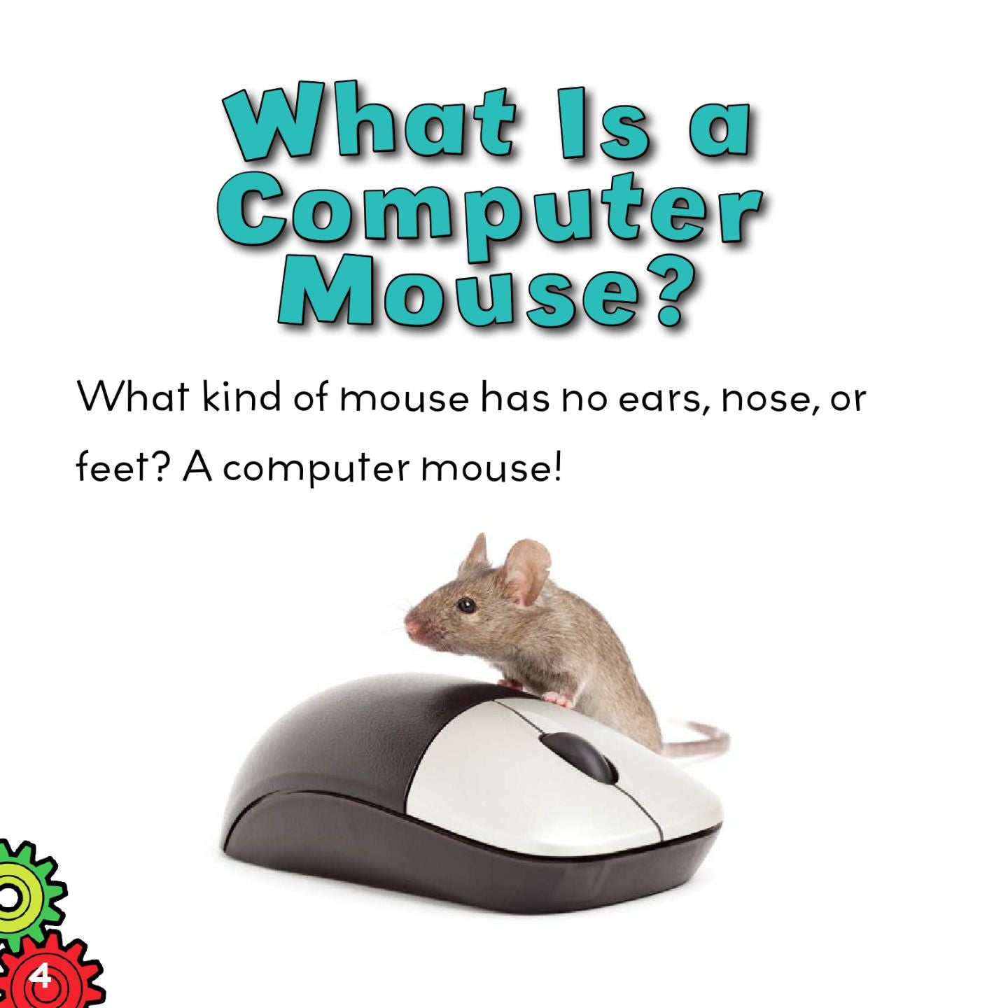 Computer Mouse