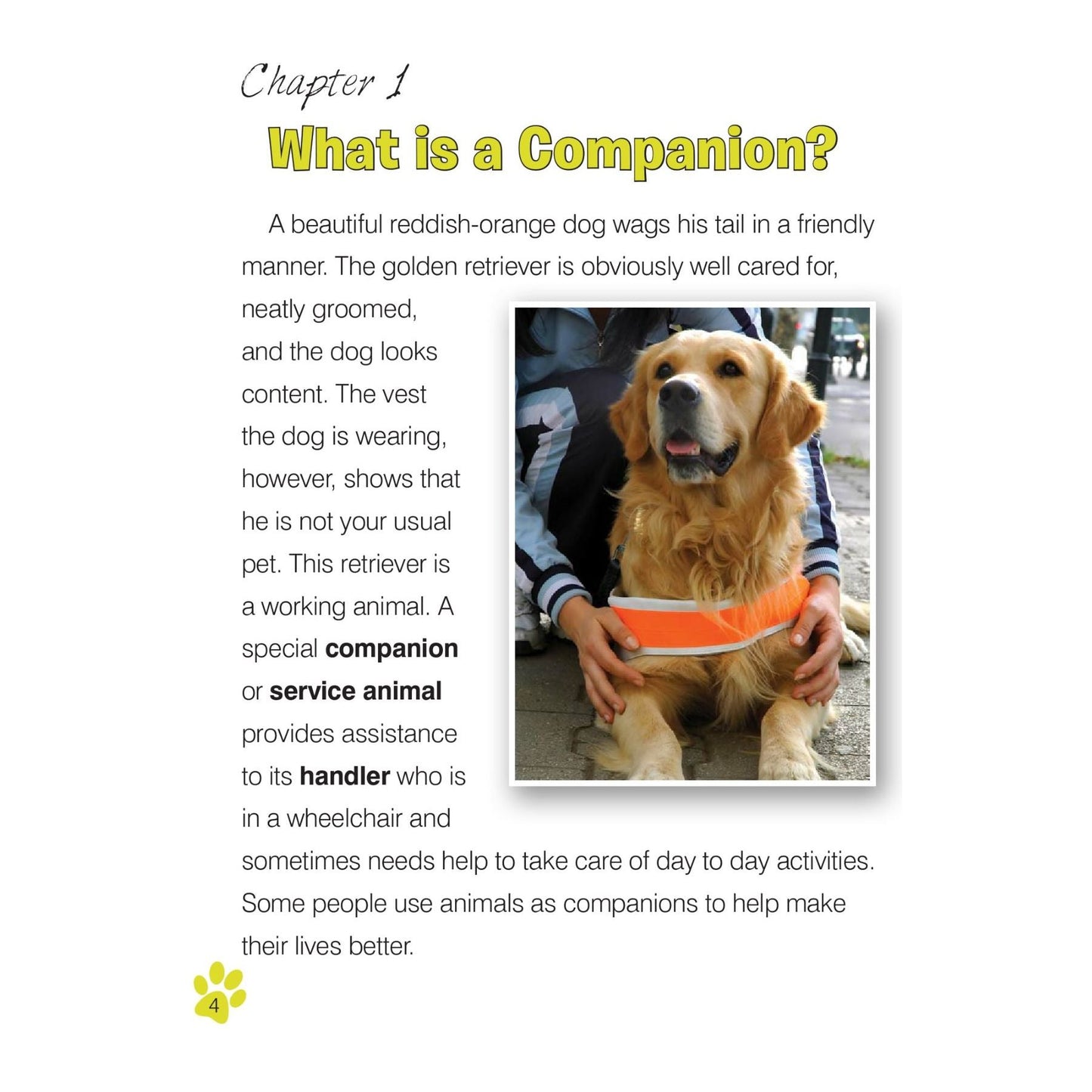 Companion and Therapy Animals