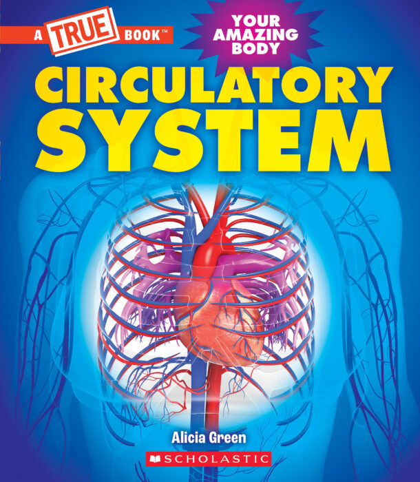 A true book: circulatory system