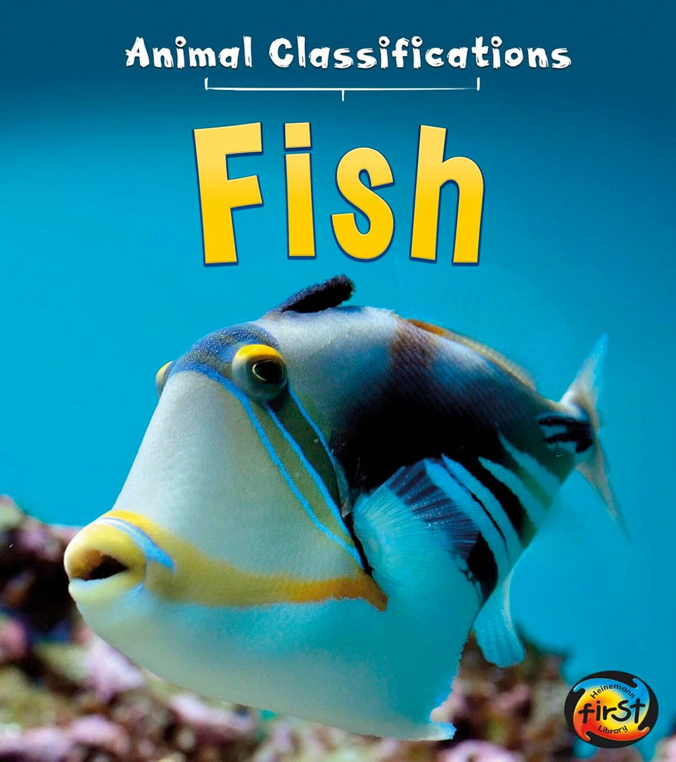Fish (Animal Classification)