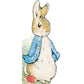 All About Peter (Peter Rabbit) - Board Book