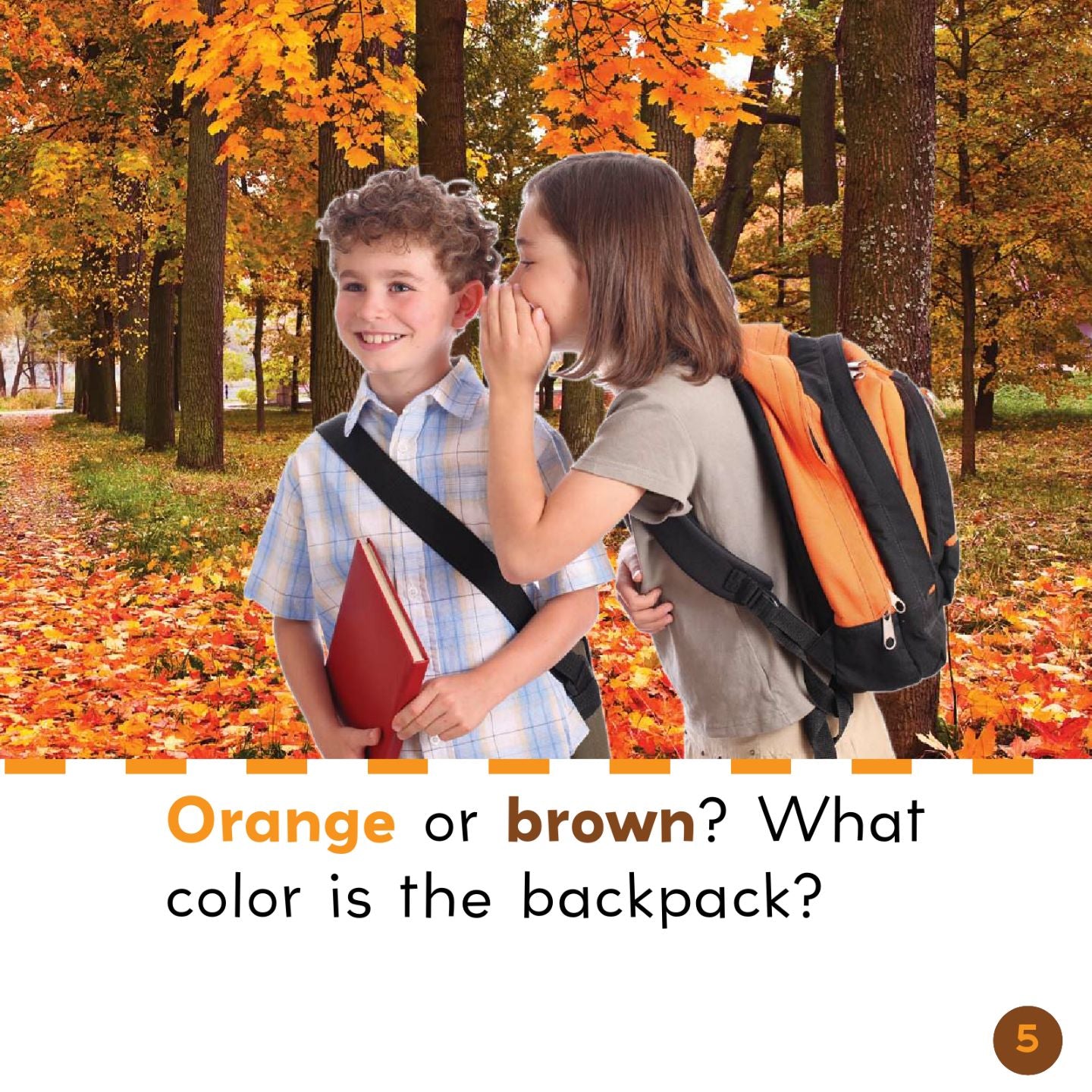 Brown and Orange in Fall