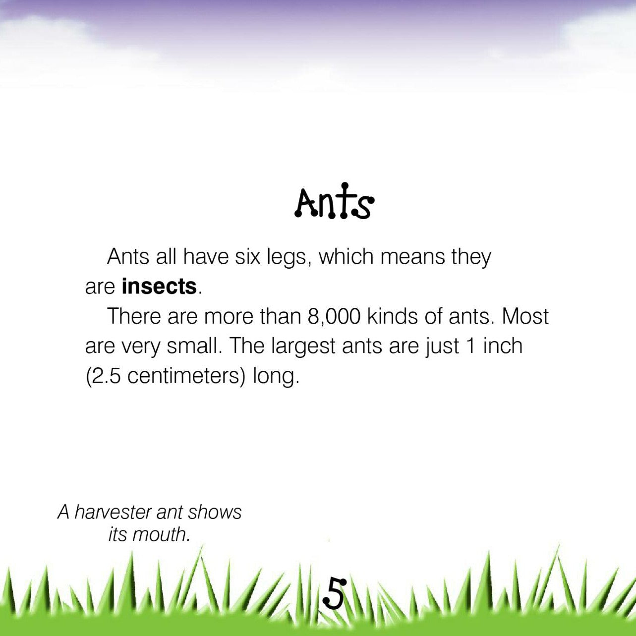 Ants