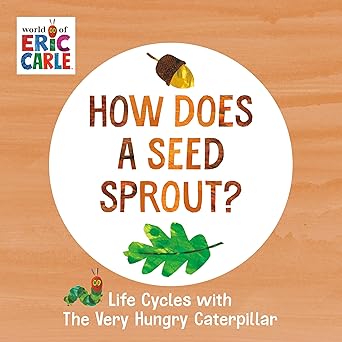 How does a seed sprout