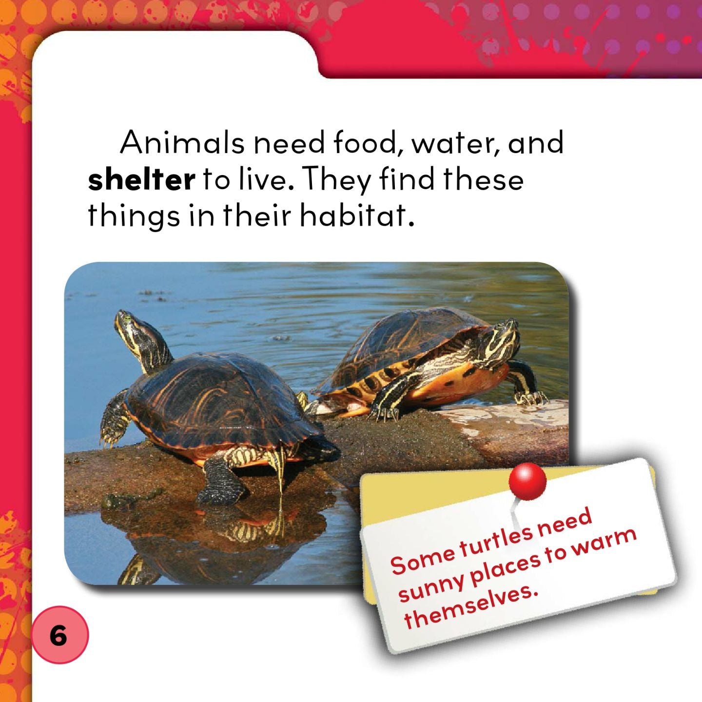 Animal Habitats