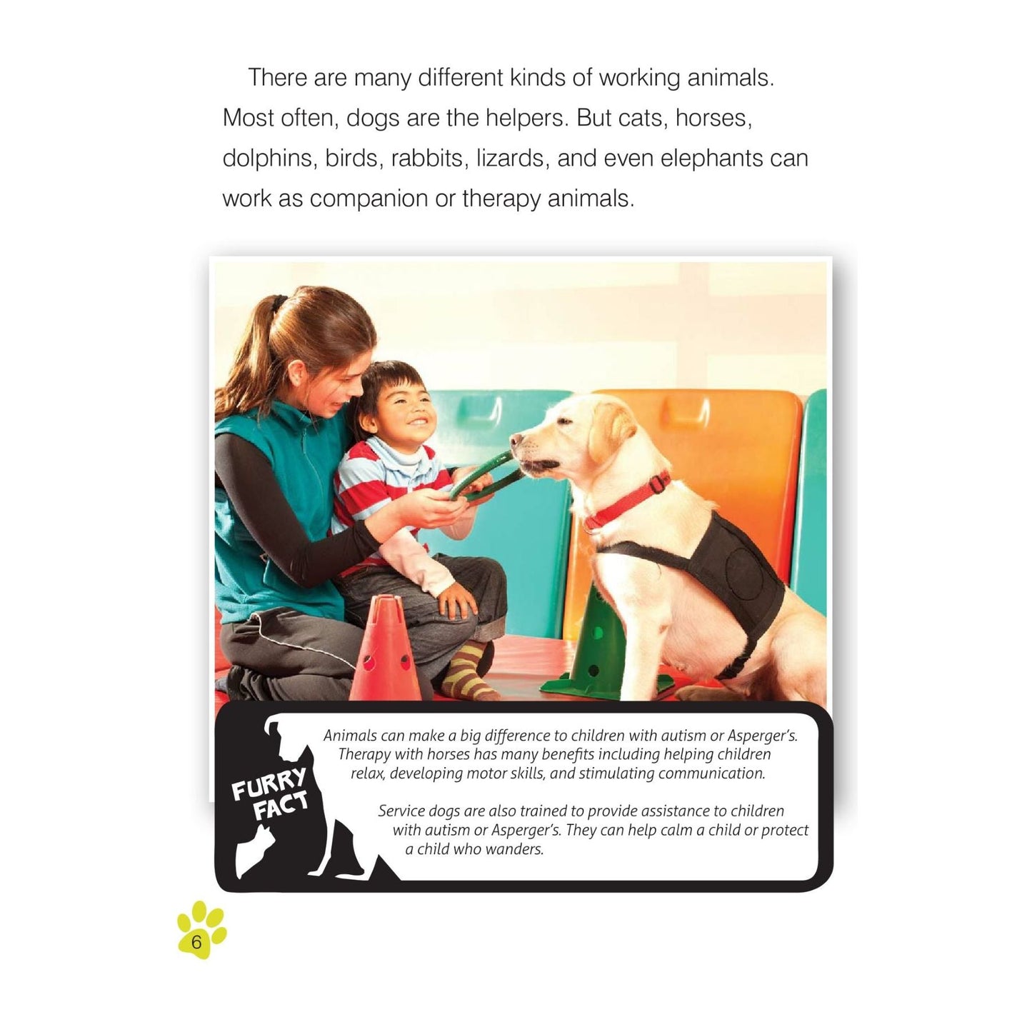 Companion and Therapy Animals