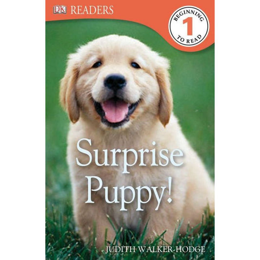 surprise puppy