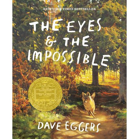 The Eyes and the Impossible