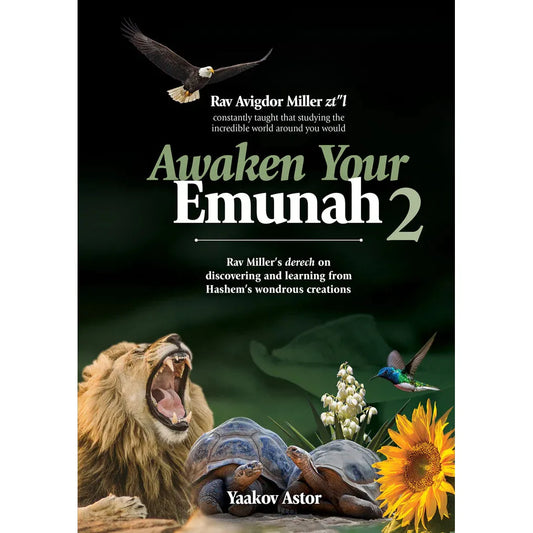 Awaken Your Emunah 2