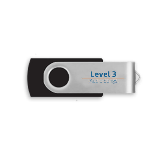 Level 3 Audio USB