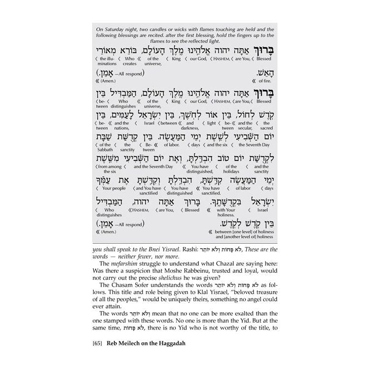 Reb Meilech on the Haggadah