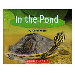 In the Pond