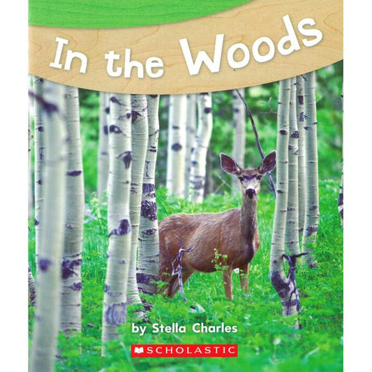 In the Woods