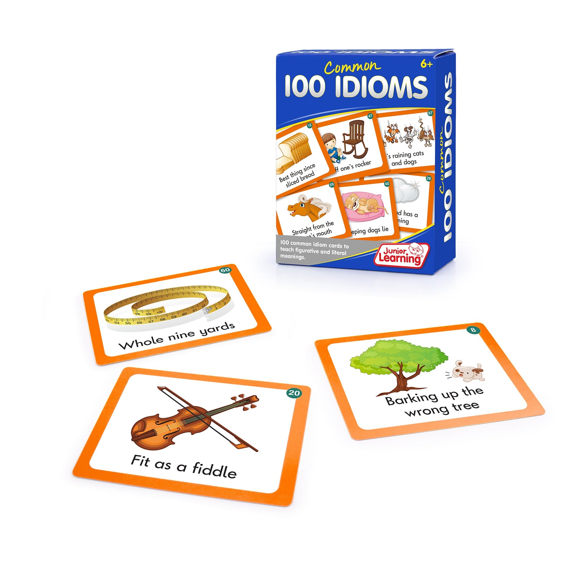 100 Common Idioms box and cards