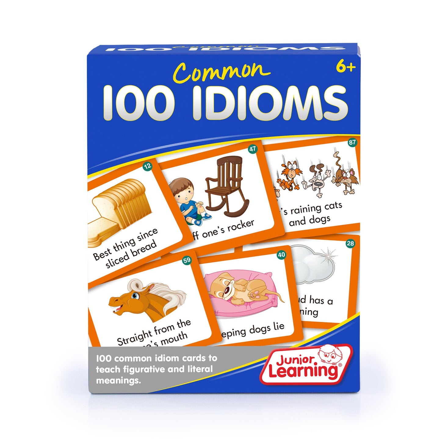 100 Common Idioms box front