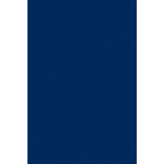 Tissue Spectra 20X30 National Blue 240