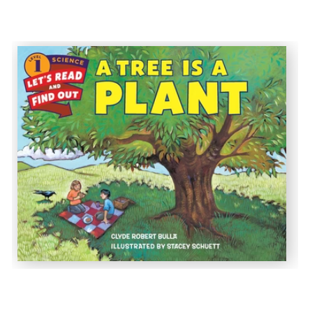 A tree is a plant