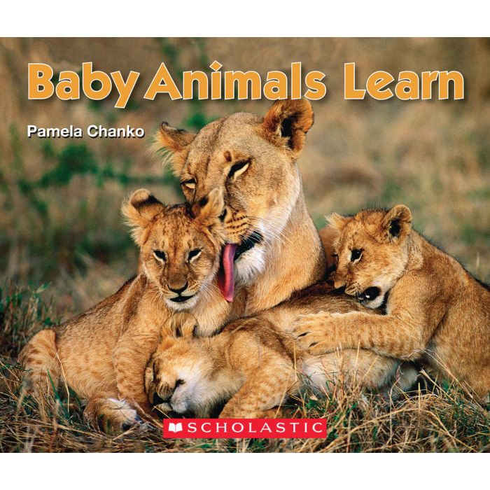 Baby Animals Learn