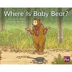 Where Is Baby Bear?