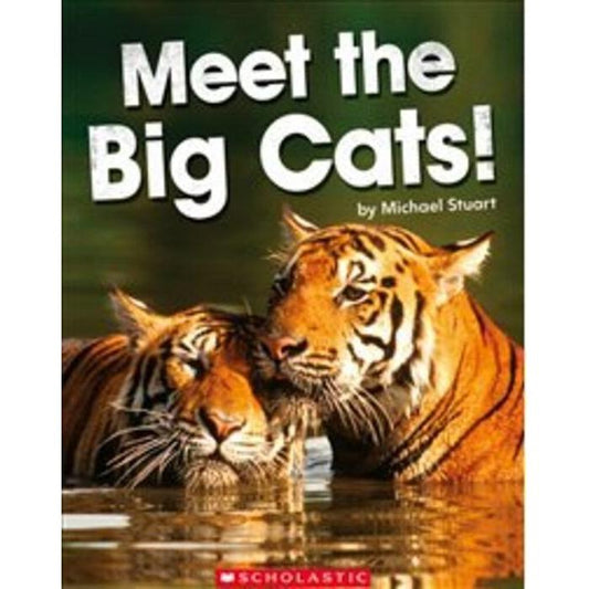 Meet the Big Cats! - NOT AVAILABLE