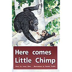 Here Comes Little Chimp