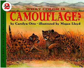 What Color Is Camouflage?